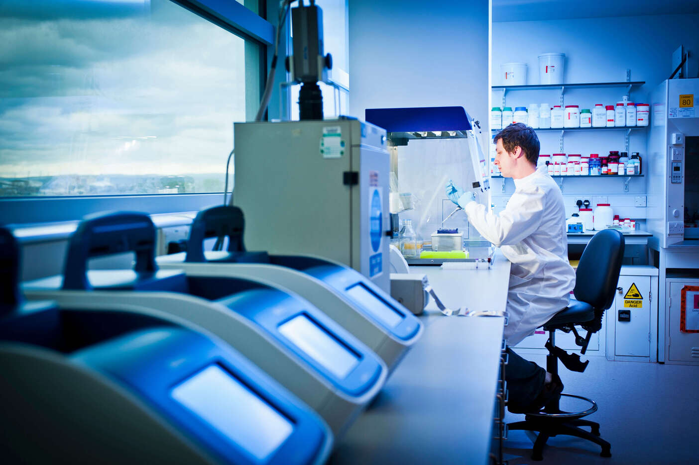 How Does the Health Diagnostic Testing Process Work From Sample to Results?