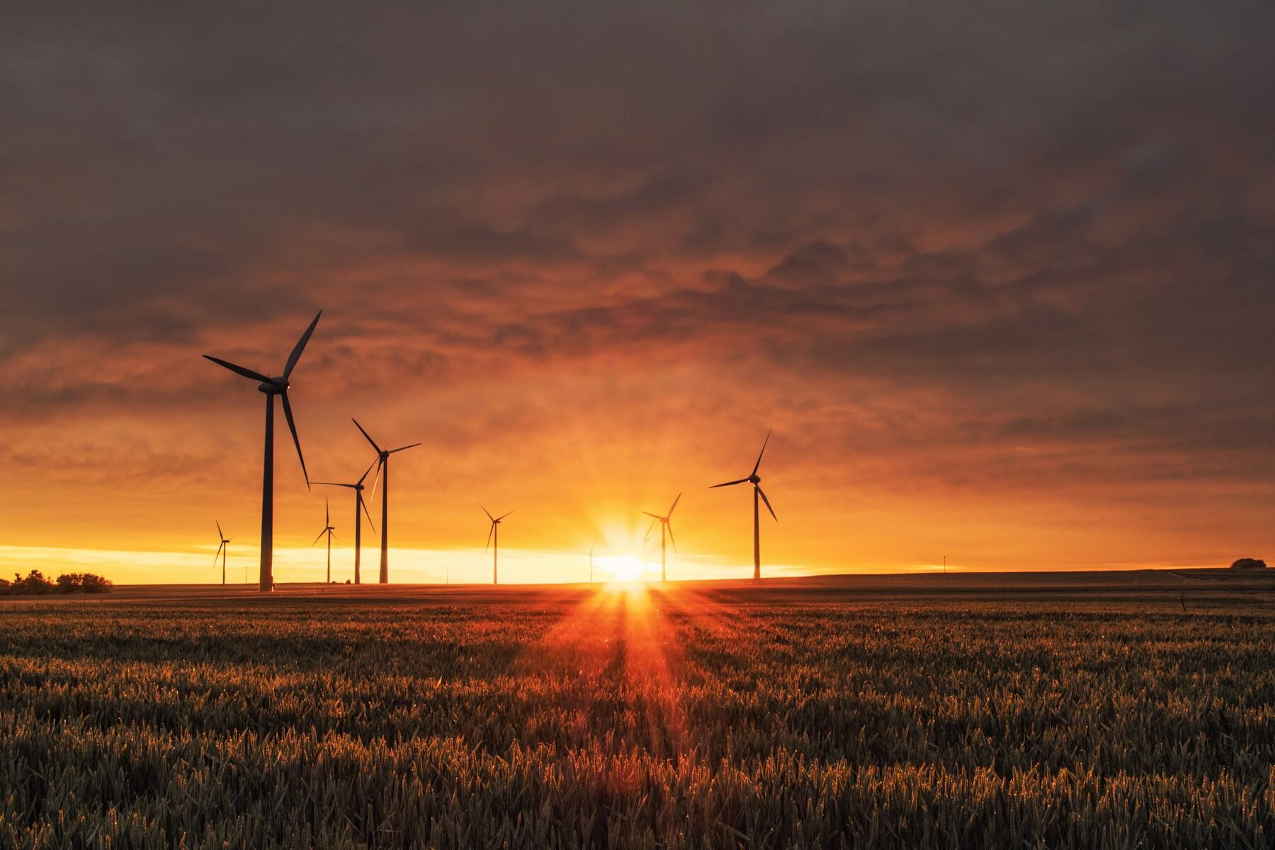 Energy Storage Company engagement
